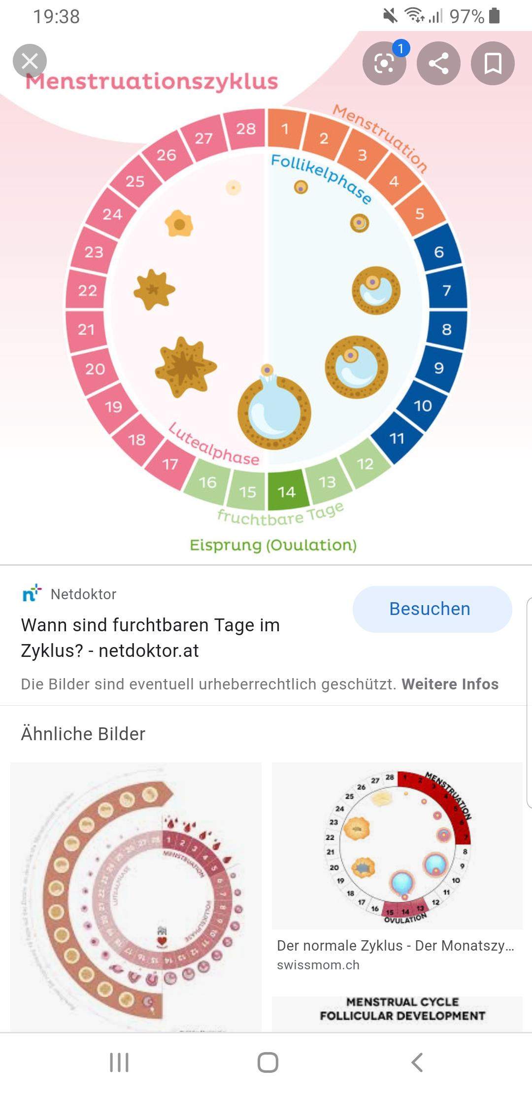 Fruchtbaren Tage der Frau (wie kann ich das verstehen)? (Sex, Verhütung, Fruchtbarkeit)