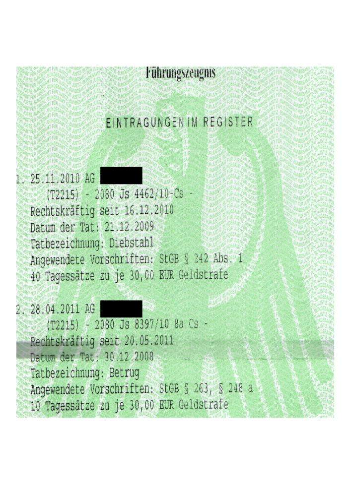 Führungszeugnis Eintragungen richtig oder falsch? (Recht, Strafrecht)