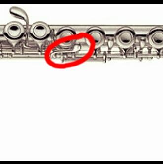 Fur Was Ist Diese Klappe Musik Querflote Flote