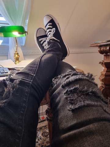 Bild zum Beitrag