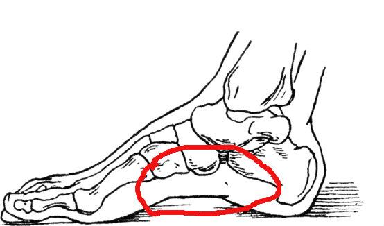 Frage und antwort stehen Frage und antwort stehen