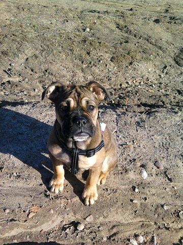 Habt ihr noch fragen englisch Habt ihr noch fragen englisch