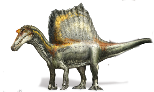 War Spinosaurus wirklich quadrupedal?  - (Tiere, Biologie, Uhrzeit)