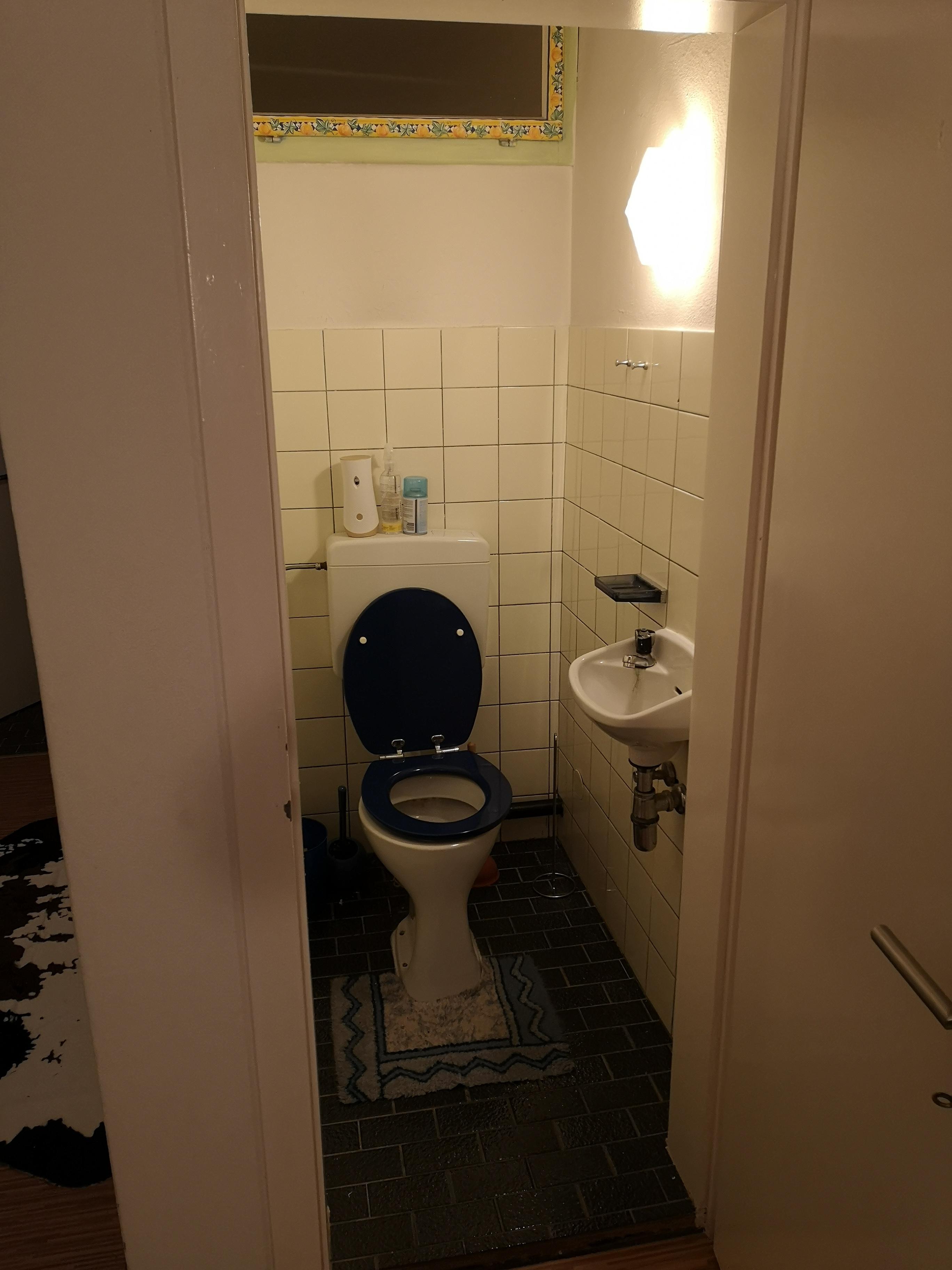 Gaste WC renovieren inkl neuen Fliesen und Waschbecken? (Handwerk ...