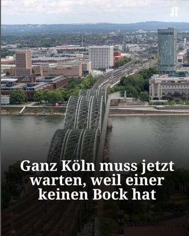 Bild zum Beitrag