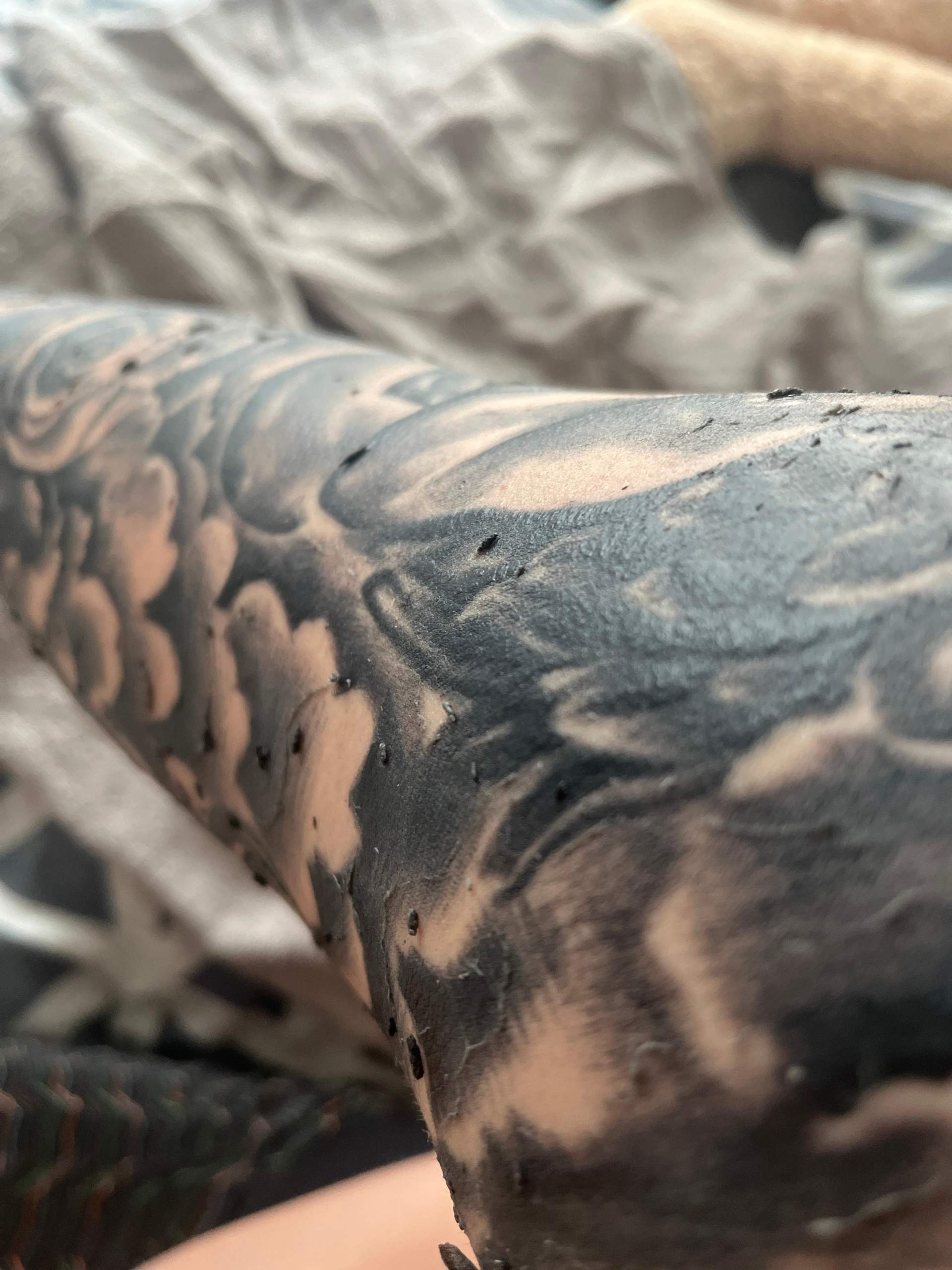 Kruste Bei Tattoos