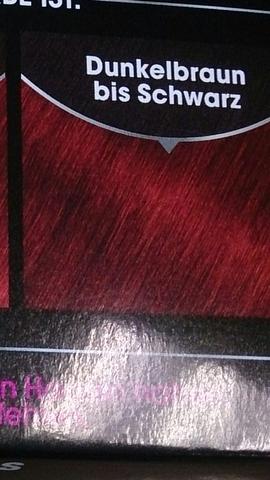 garnier olia dunkles haar haare