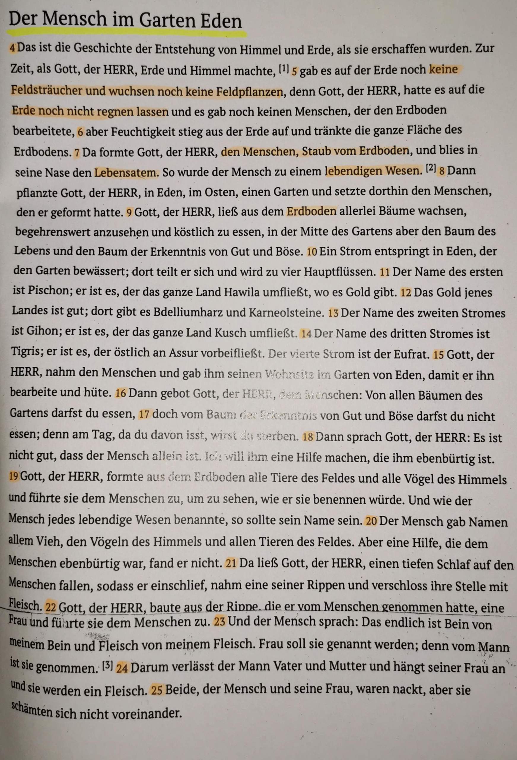 Garten Eden(der Mensch)? (Religion, Bibel, Paradies)