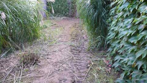 Garten nicht nutzbar wie viel Mietabzug ist gerechtfertigt