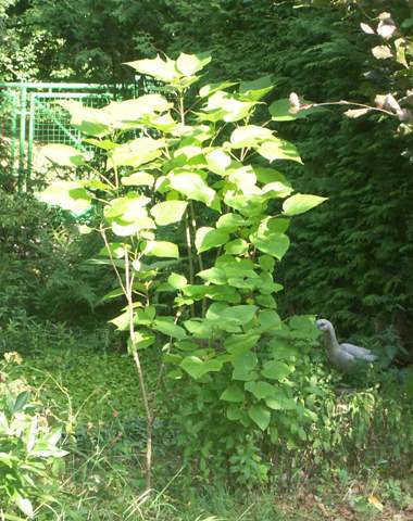 Bild zum Beitrag