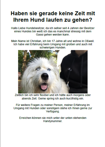 gassi geh zettel hund nebenjob laufen