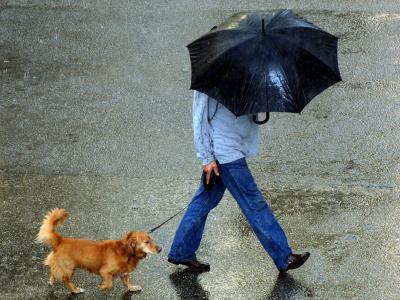 Schnell geld bekommen Schnell geld bekommen