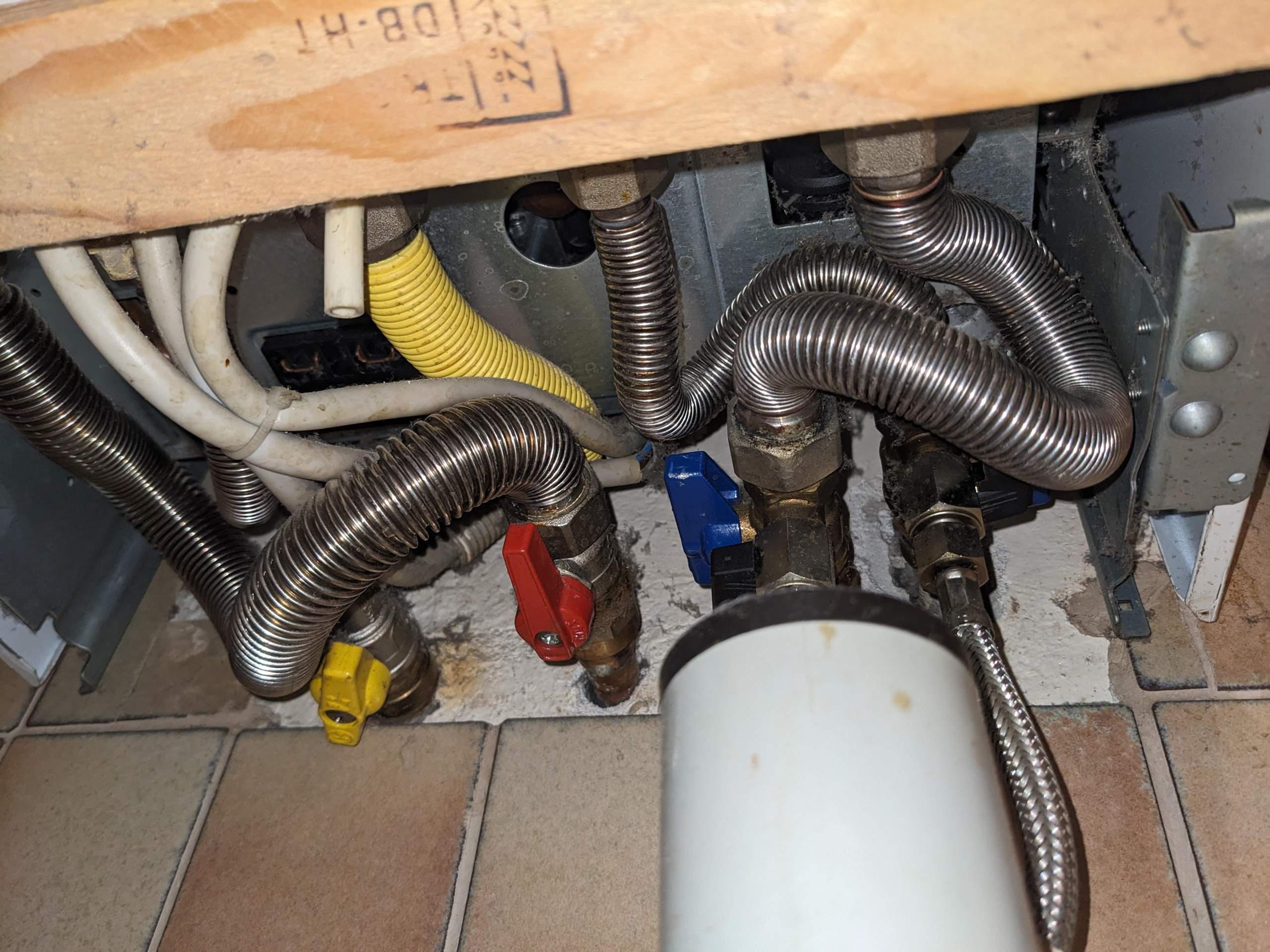 Gastherme Pfeift Beim Aufheizen