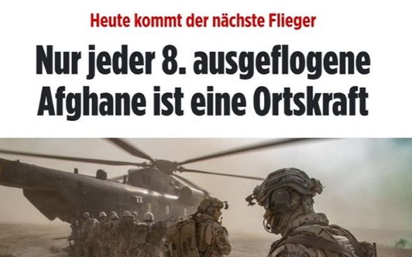 Bild zum Beitrag