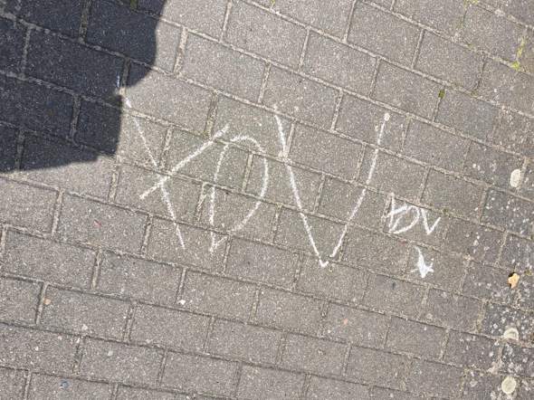 Bild zum Beitrag
