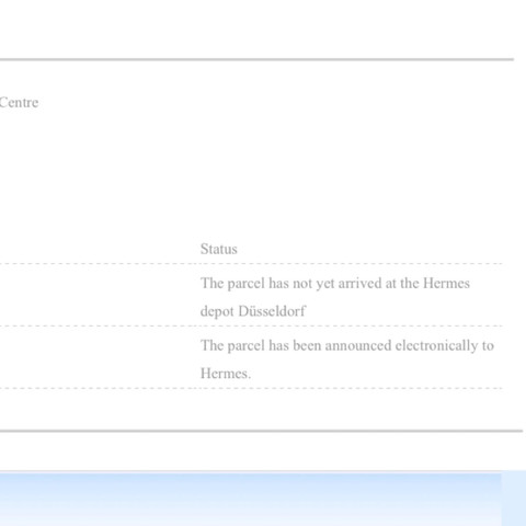 Gearbest Bestellung Lieferzeit