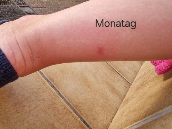Bild zum Beitrag