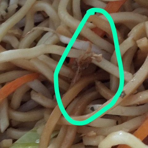 Gebratene Nudeln Mit Gemuse Ist Es Hahnchen Drin Ernahrung Essen Chinesen