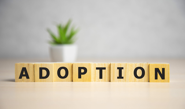 Gedankenspiel: Stell Dir vor, Du erfährst als Erwachsener, dass Du adoptiert wurdest, Deine Adoptiveltern leben nicht mehr, was würdest Du denken oder tun?