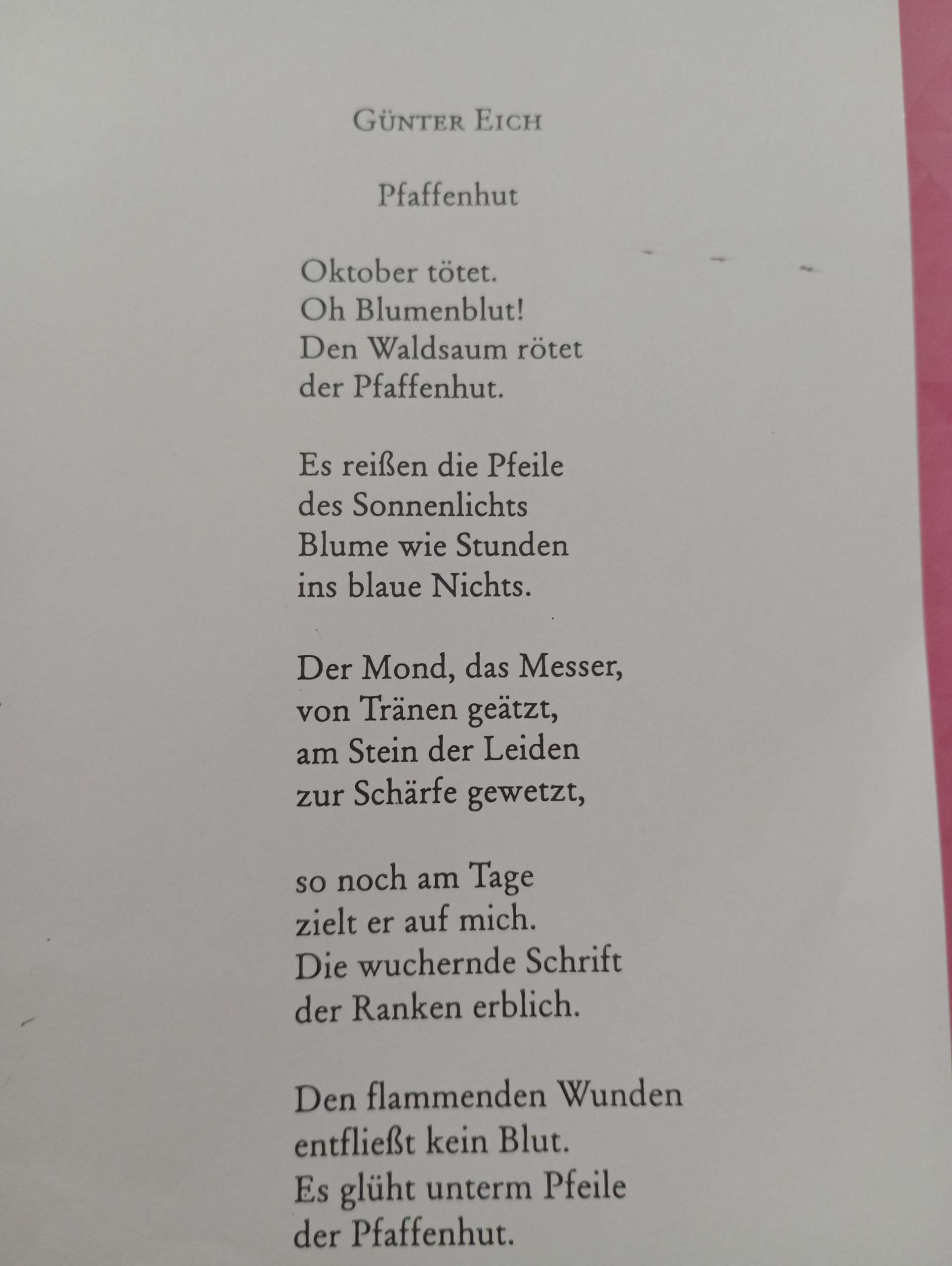 Gedicht? (Lyrik, Deutschunterricht, Gedichtinterpretation)