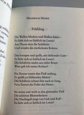 Gedicht Interpretation. Heinrich Heinze? (Schule, Deutsch, Analyse)