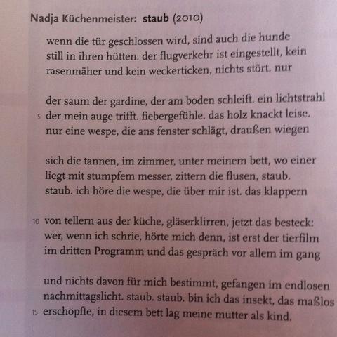 Wie Kann Ich Das Gedicht Interpretieren Staub Schule Deutsch Lyrik