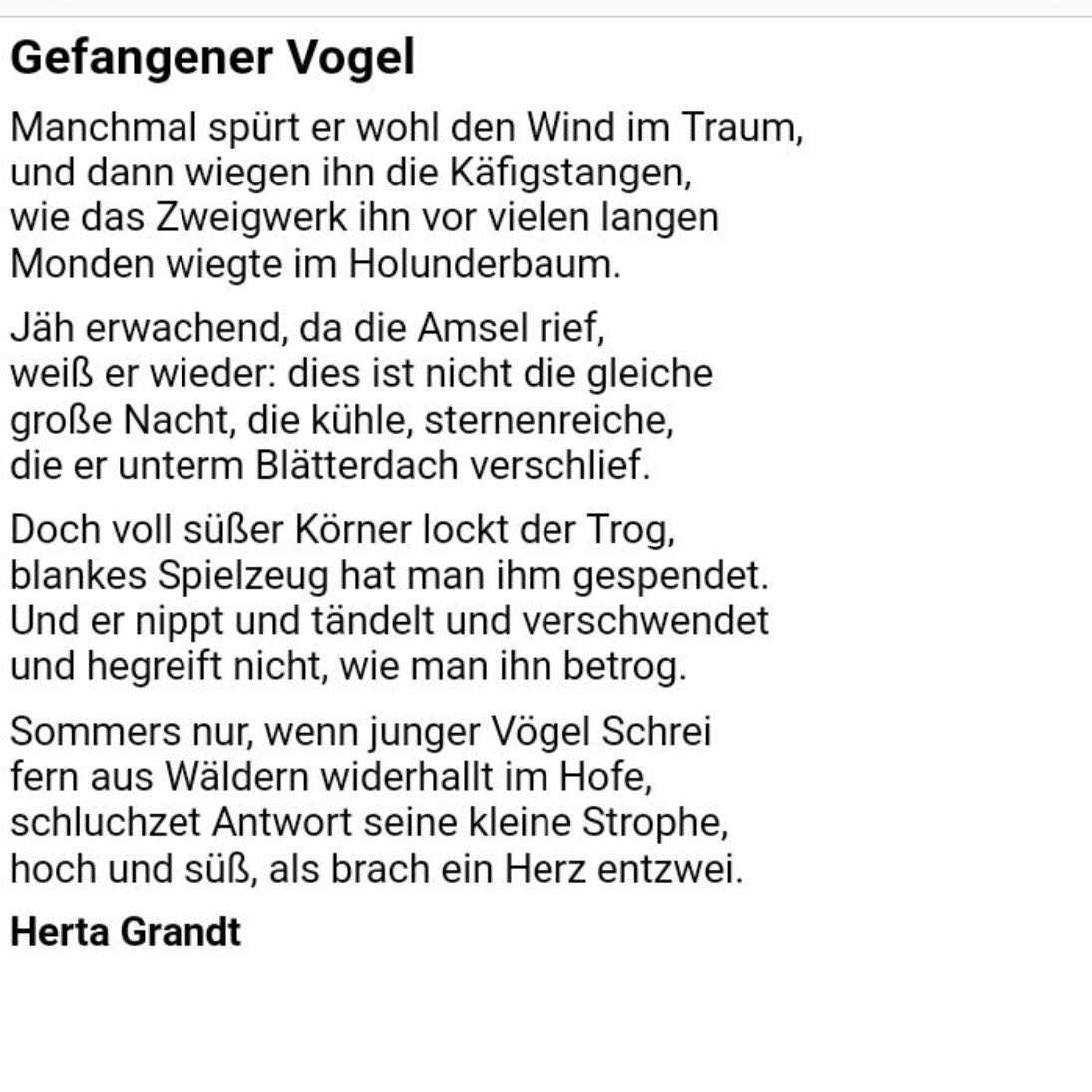 Gedichtinterpretation/Gefangener Vogel? (Schule, Deutsch, Gedicht)