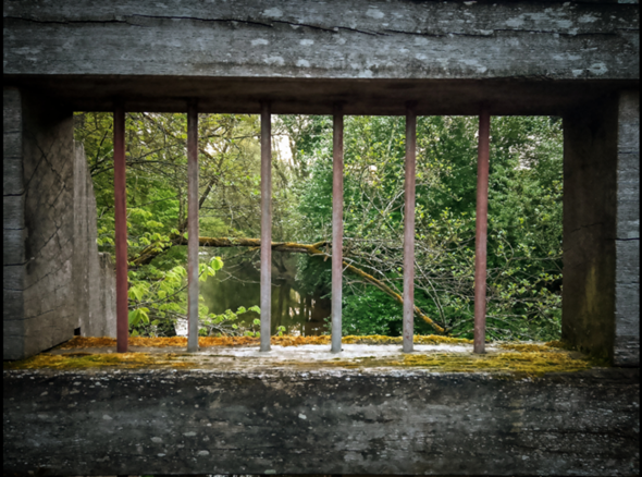 Bild zum Beitrag