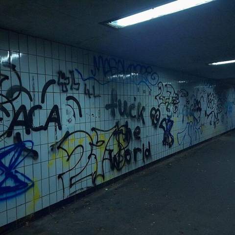 Bild zum Beitrag