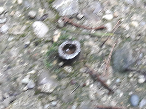 - (Wald, Gegenstände, Granate)
