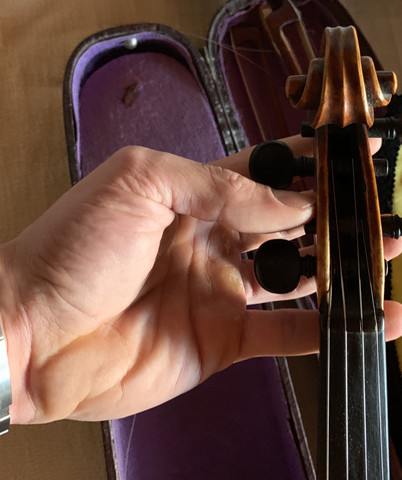 - (Computer, Geige, Violine)