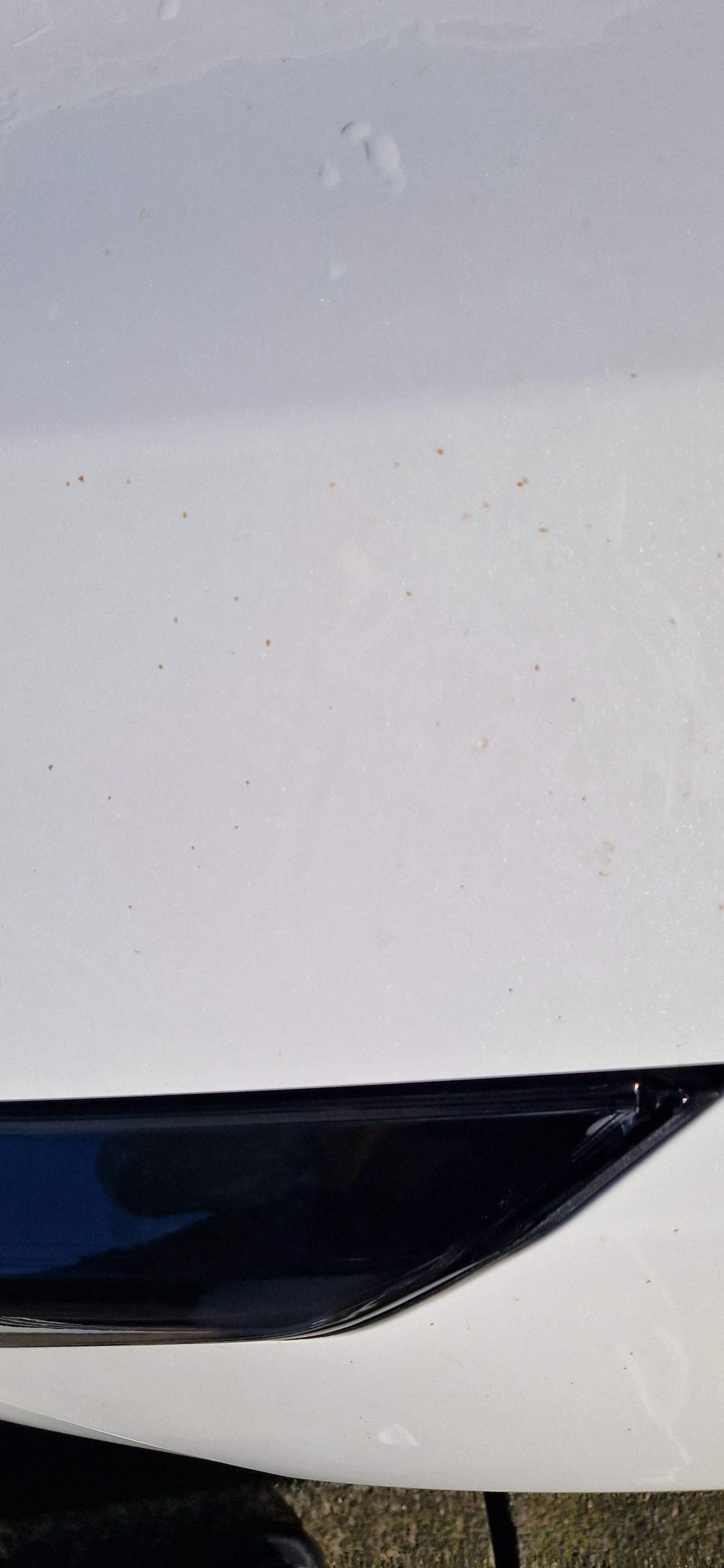Gelbe Flecken Auto