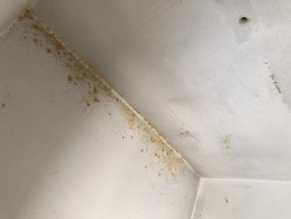 Gelbe Flecken An Der Wand Schimmel Hausbau Altbau Gelbe Flecken An Der Wand Schimmel Hausbau Altbau