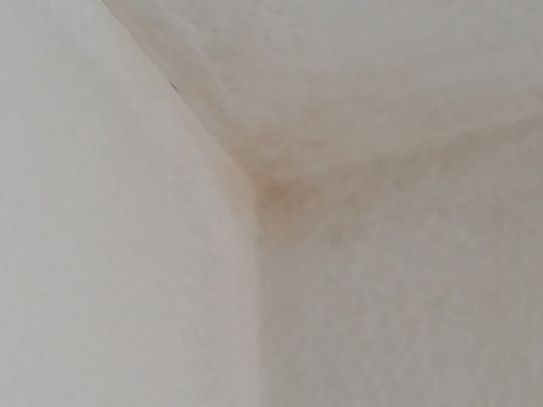 Gelbe Flecken in der Ecke? Stockflecken im unteren Drittel der Schrankrückwände? (Schimmel) Gelbe Flecken in der Ecke? Stockflecken im unteren Drittel der Schrankrückwände? (Schimmel)