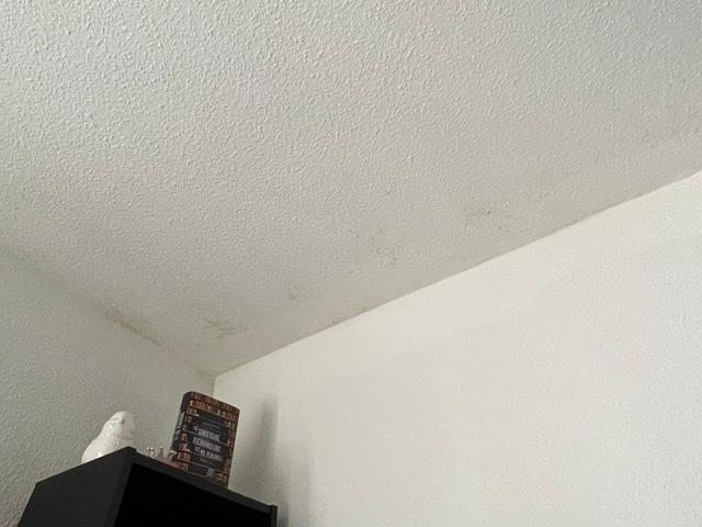 Gelbe und dunkle Flecken an Decken und Wände - was kann ich tun