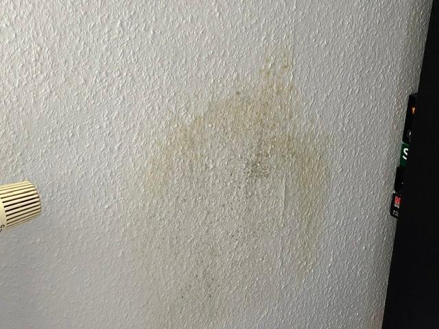 Gelbe und dunkle Flecken an Decken und Wände - was kann ich tun