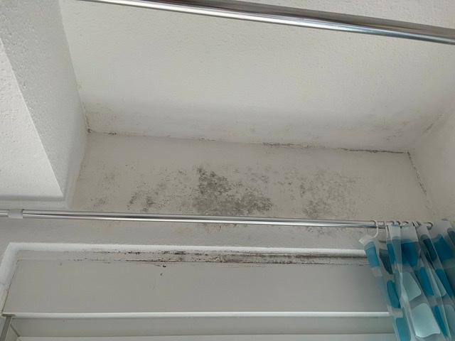 Gelbe und dunkle Flecken an Decken und Wände - was kann ich tun