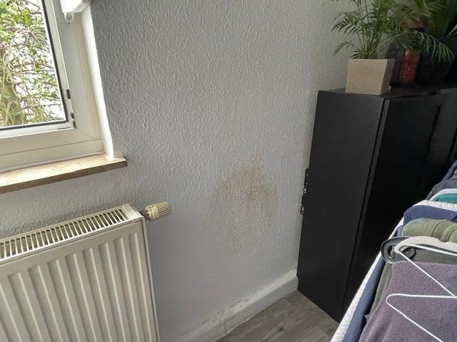 Gelbe und dunkle Flecken an Decken und Wände - was kann ich tun