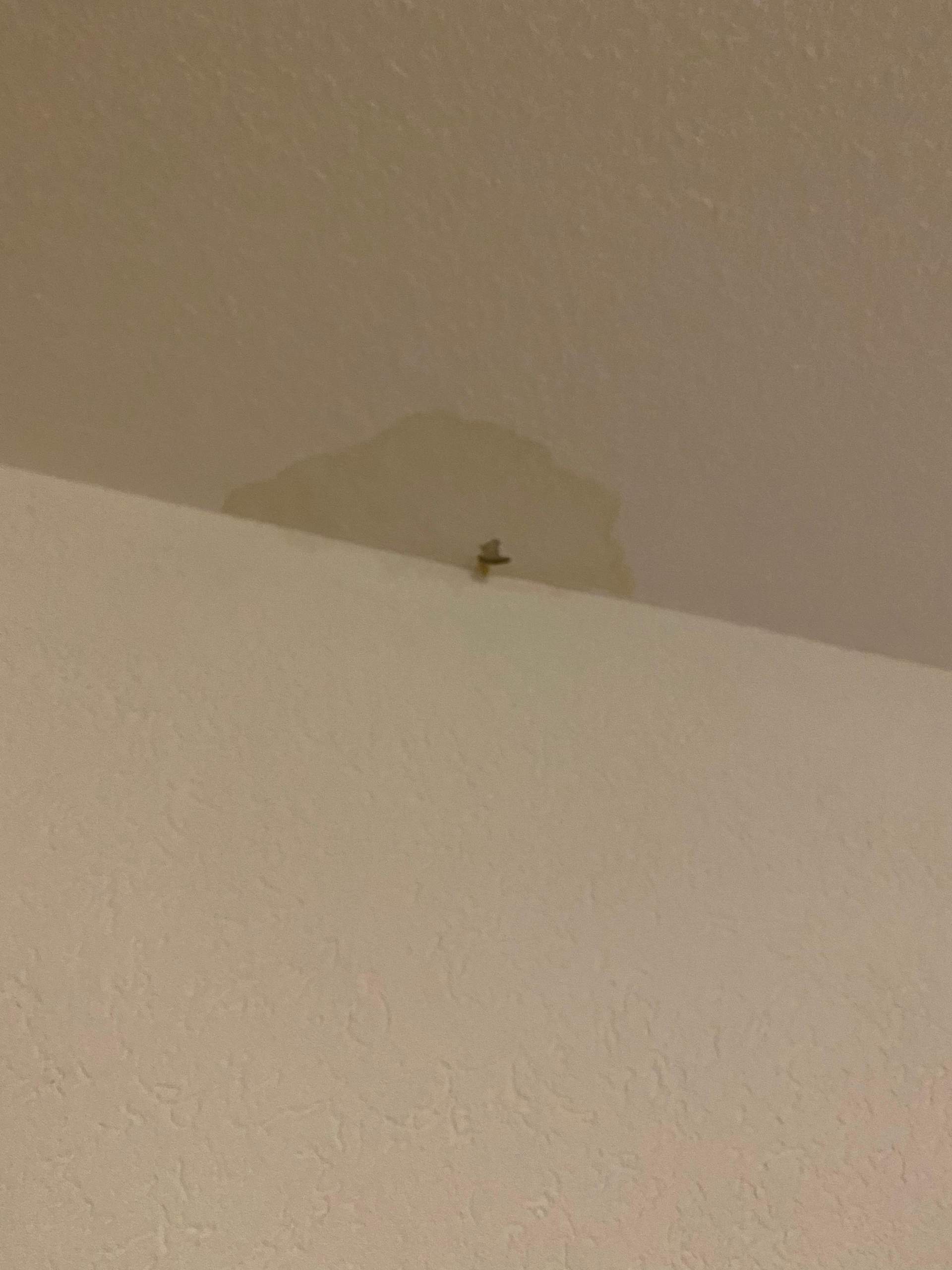 Gelber Fleck an der decke? (Flecken)