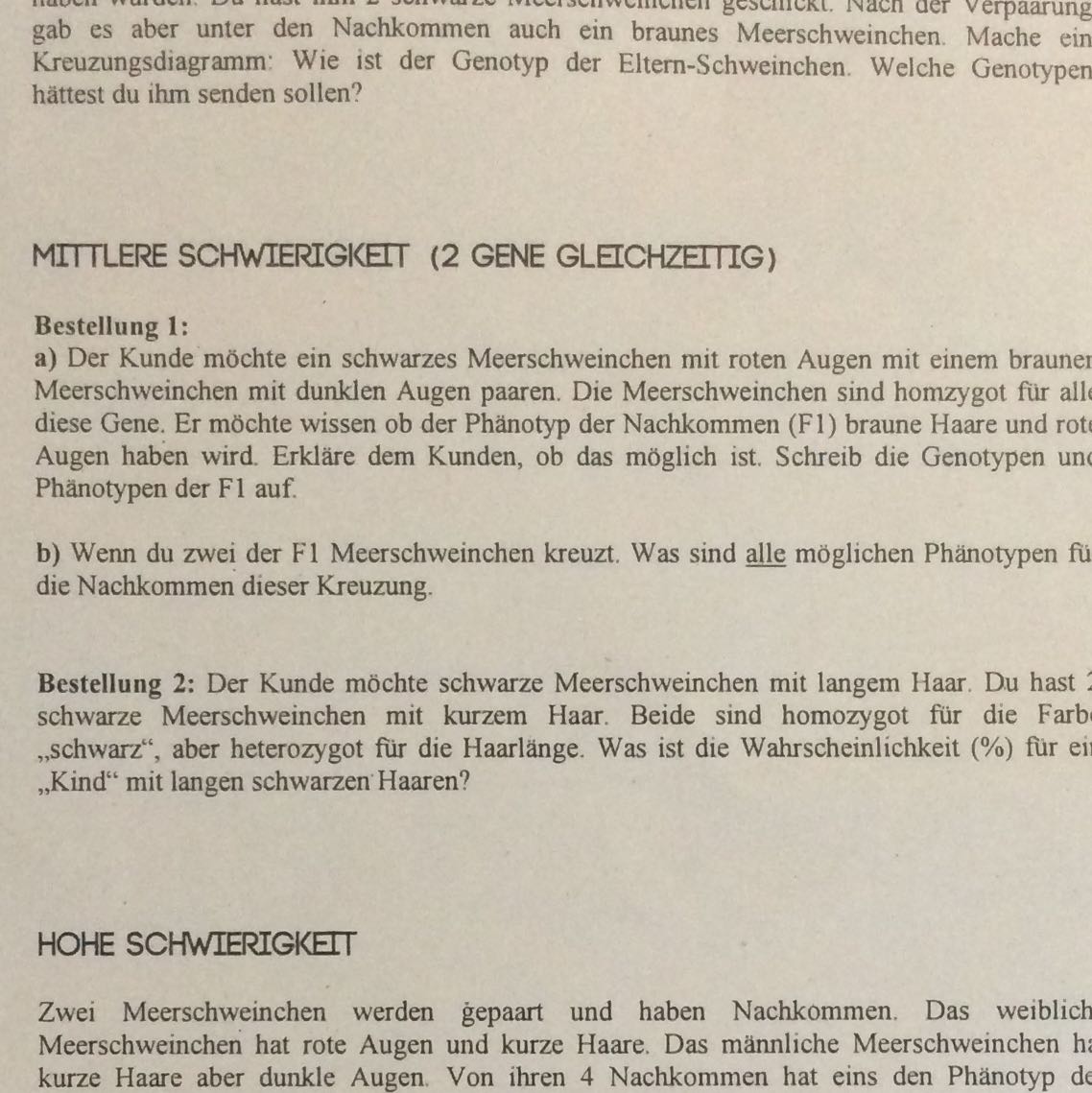 Genetik (klasse 9) frage? (Schule, Biologie, Bio)