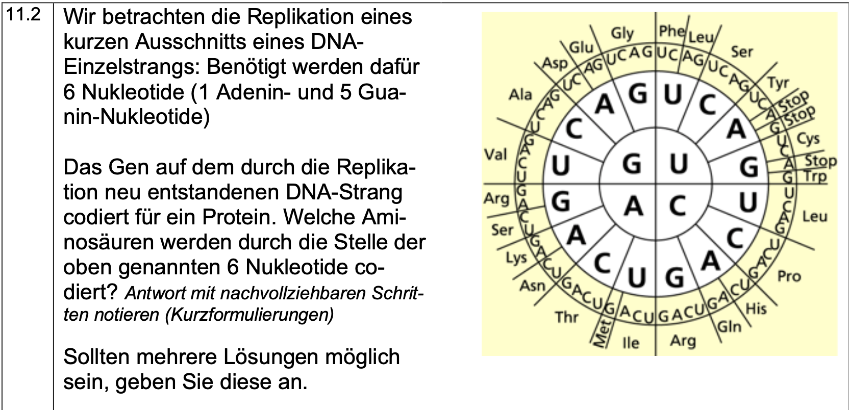 Codesonne Genetischer Code, welche Aminosäure wird codiert? (Biologie, Genetik, DNA)