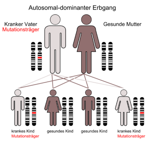 Das Bild - (Biologie, Mutation, Gen)