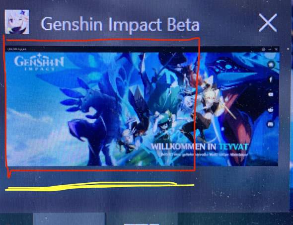 Genshin Impact Ladebildschirm?