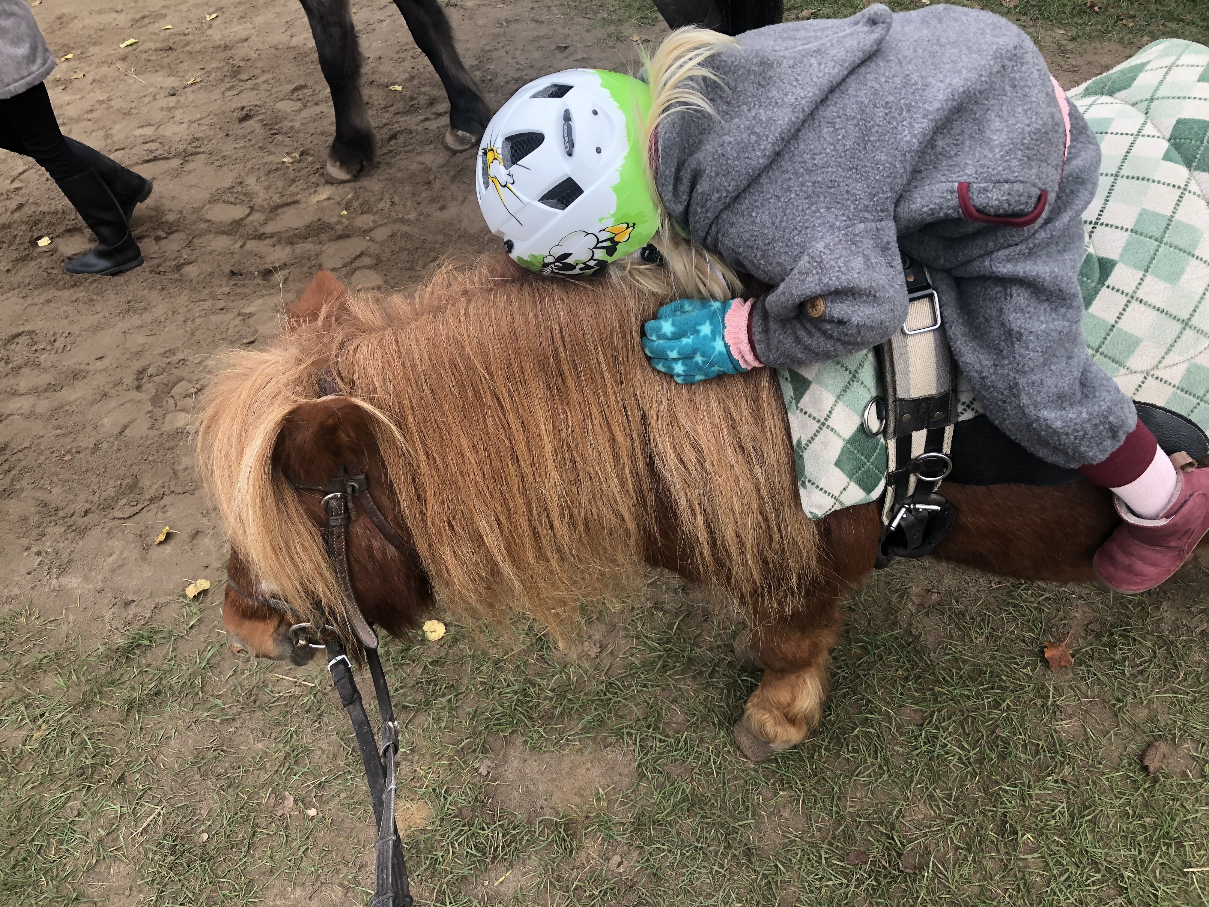 31+ toll Bilder Welche Matratze Für 4 Jähriges Kind / 10 geniale Geschenke für 4-jährige Kinder | Spielzeug ... / Auch bei älteren kindern ist das schlafbedürfnis noch relativ hoch.