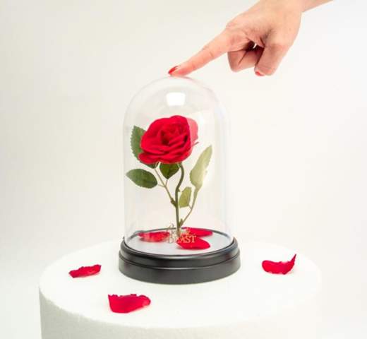 - (Freundschaft, Freundin, Geschenk)