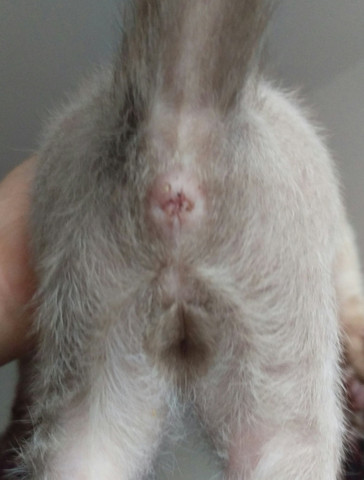 Ebay de auto Ebay de auto