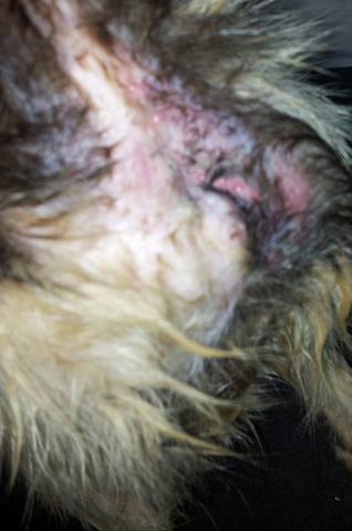 Wie kann ich ihr zeigen Wie kann ich ihr zeigen