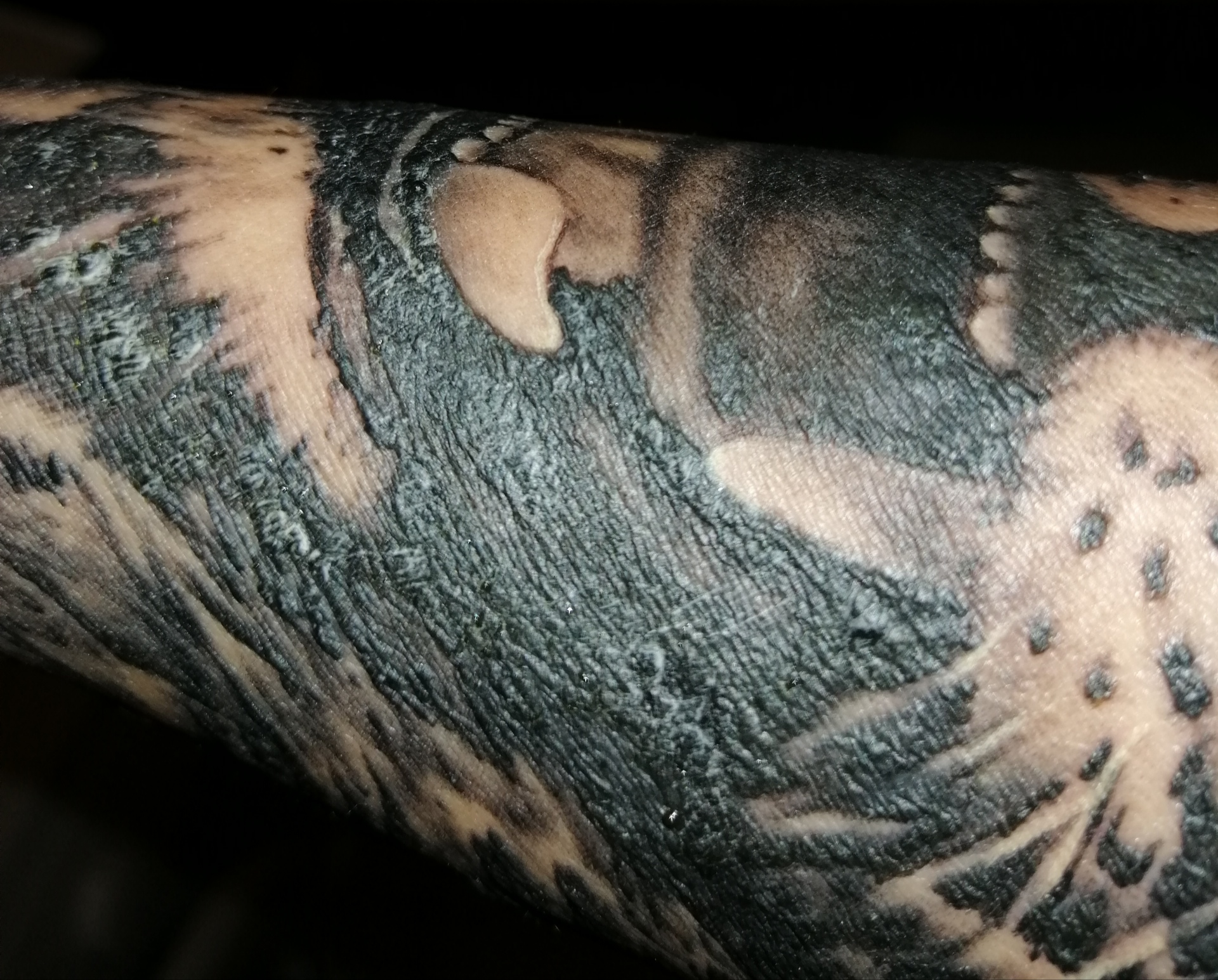Gestern neues Tattoo stechen lassen am Unterarm, starke Verkrustung und