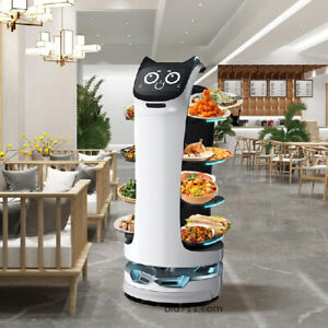 Gestern wurde unser Essen bei Denny's (USA) mit diesem Roboter serviert. Was sagt Ihr dazu?
