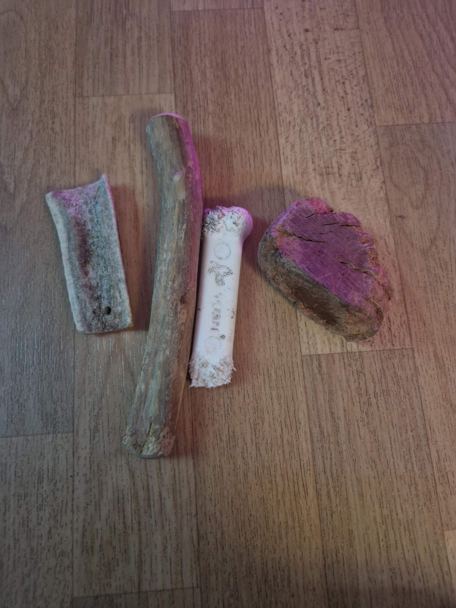 Geweihstücke/Kaffeeholz zum Kauen für kleinen Hund? (Gesundheit, Zähne, Tierarzt)